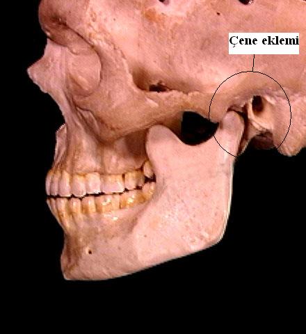 Çene Eklemi ve Temporomandibular Eklem Ağrısı